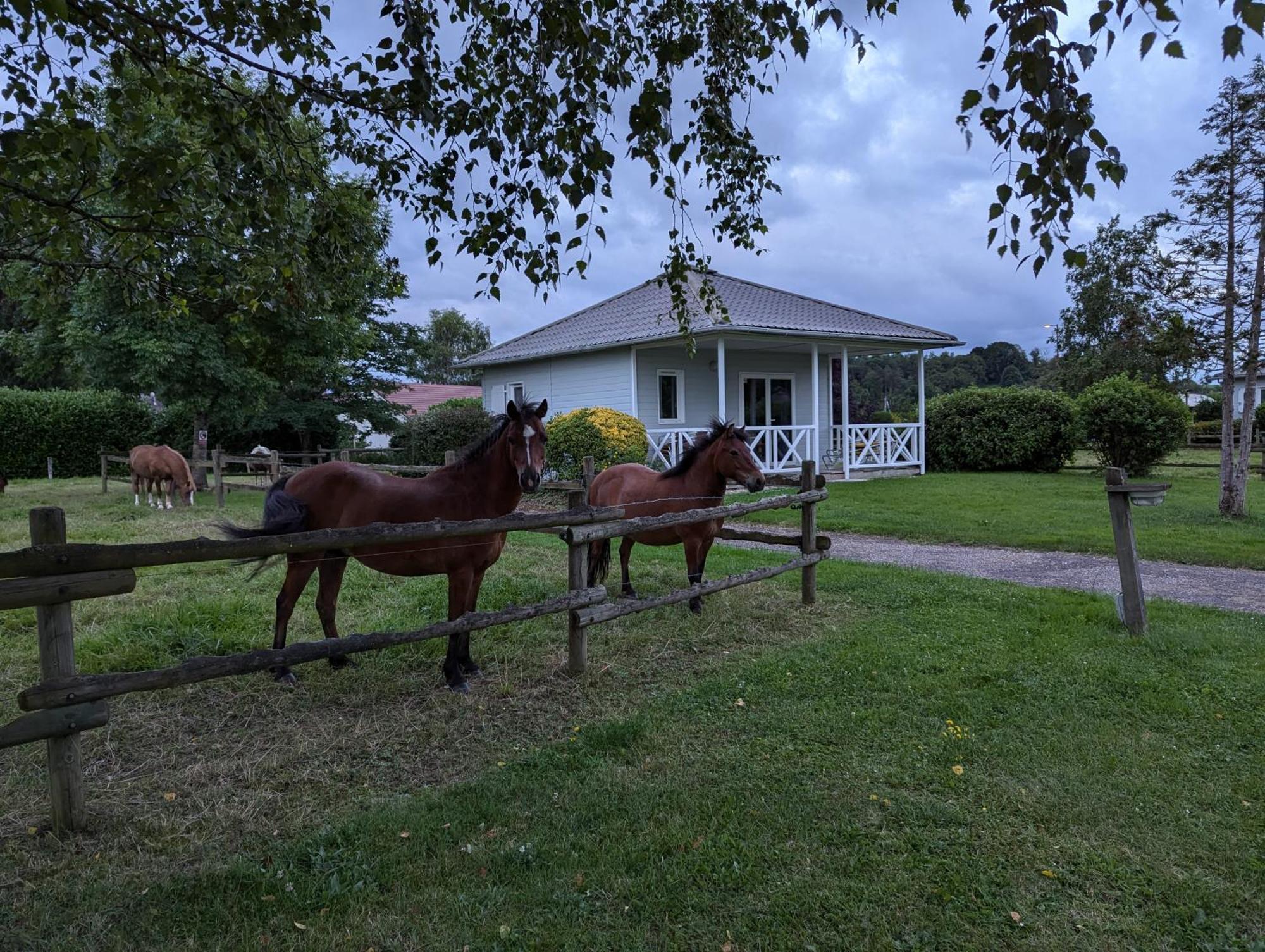 Chalet Domaine Saone-valley